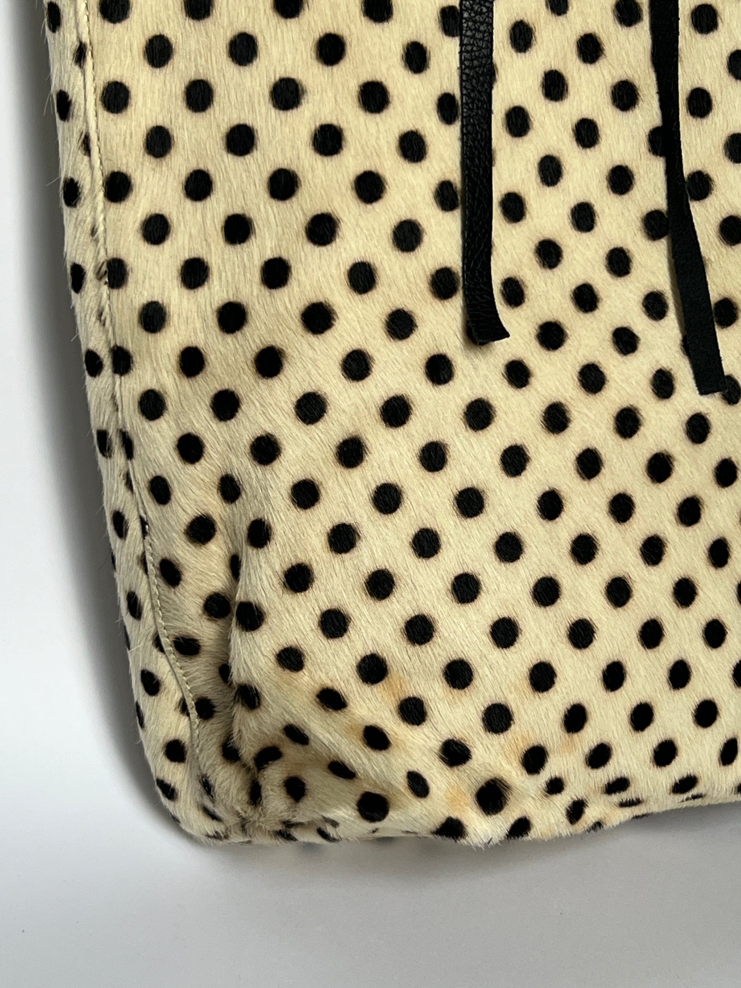 Polka Dot Pony Tote