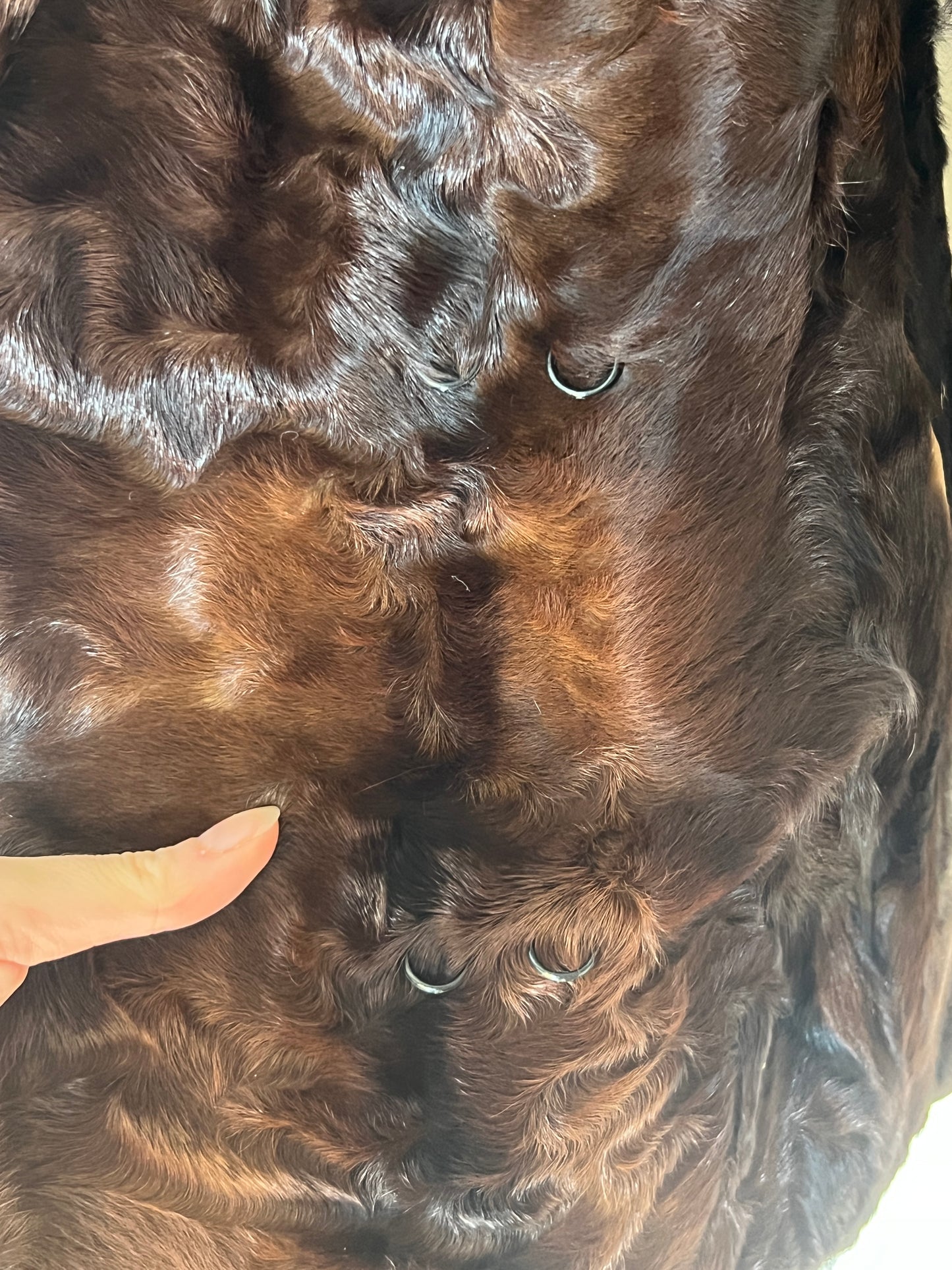 Fur Coat 013 (S)