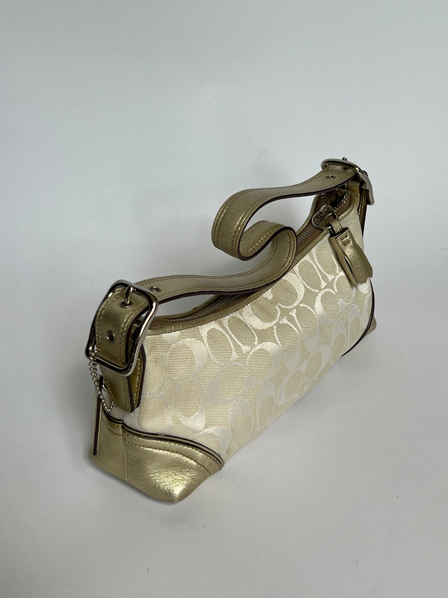 Coach Monogram Bag