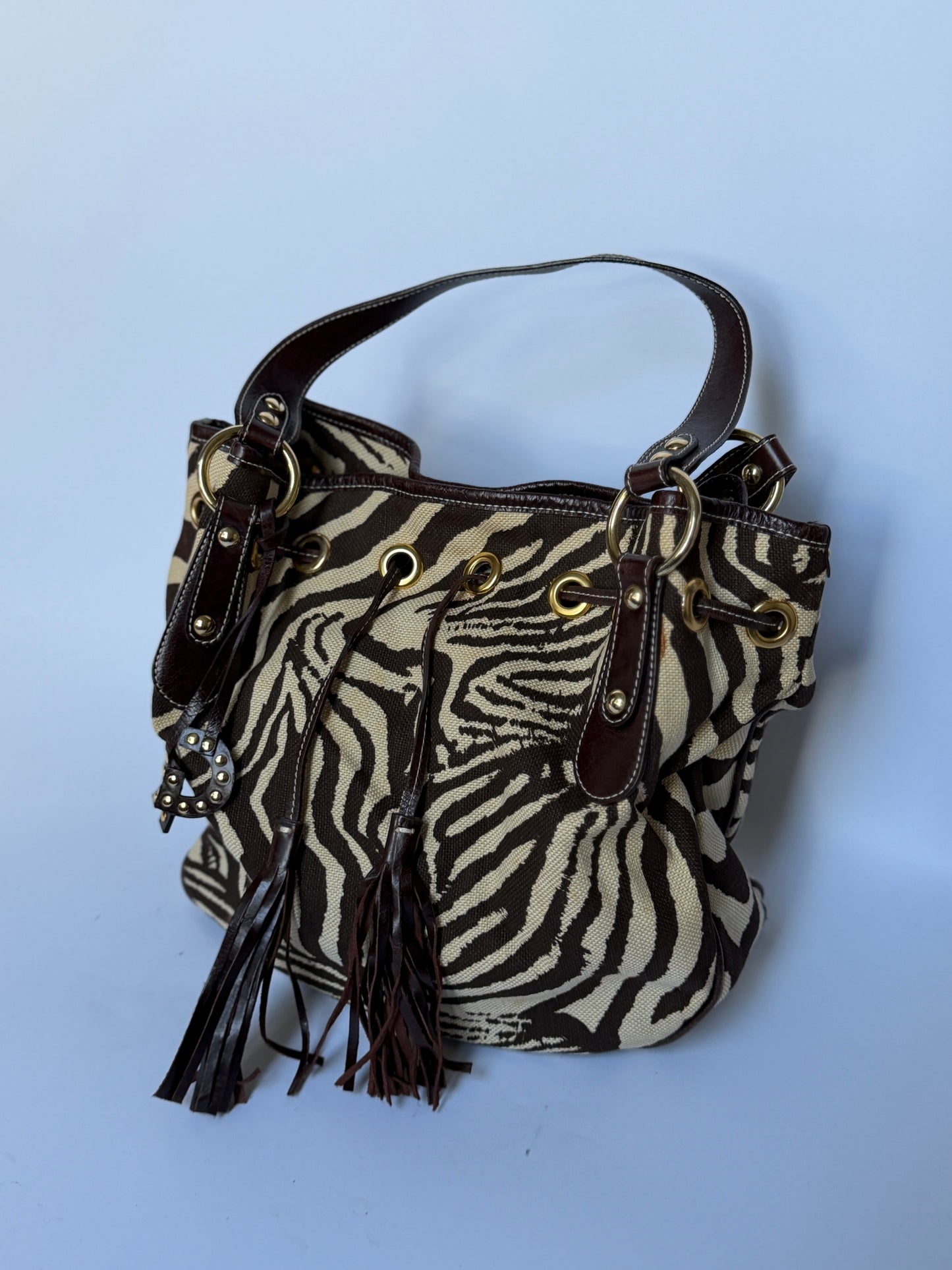 Zebra Print Canvas & Leather Drawstring Bag