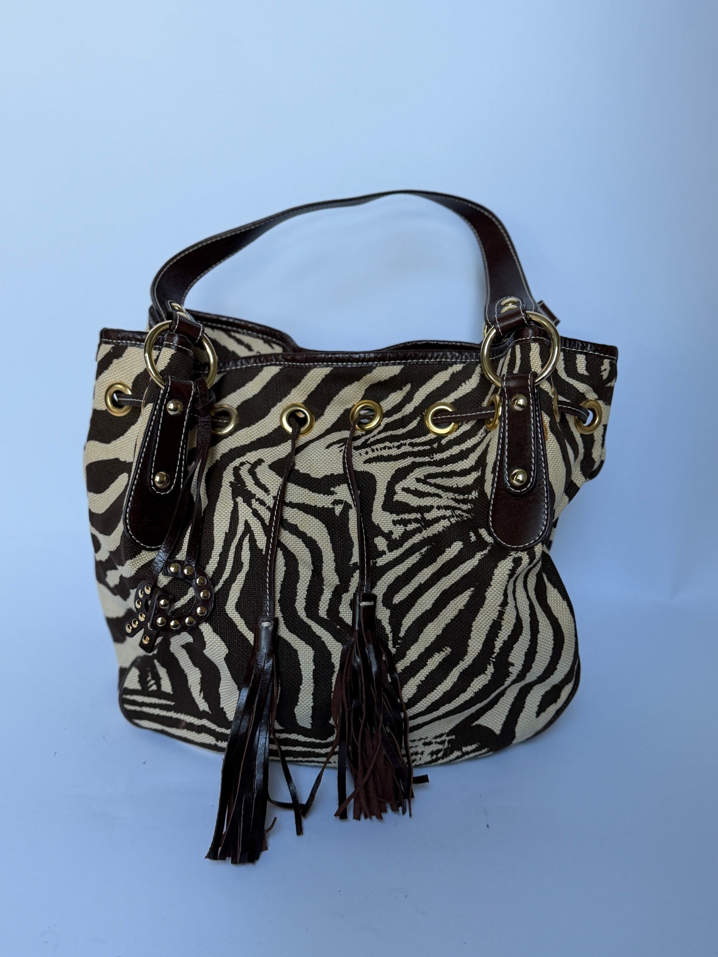 Zebra Print Canvas & Leather Drawstring Bag