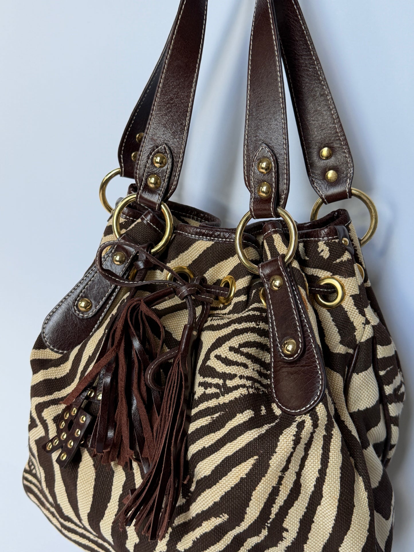 Zebra Print Canvas & Leather Drawstring Bag
