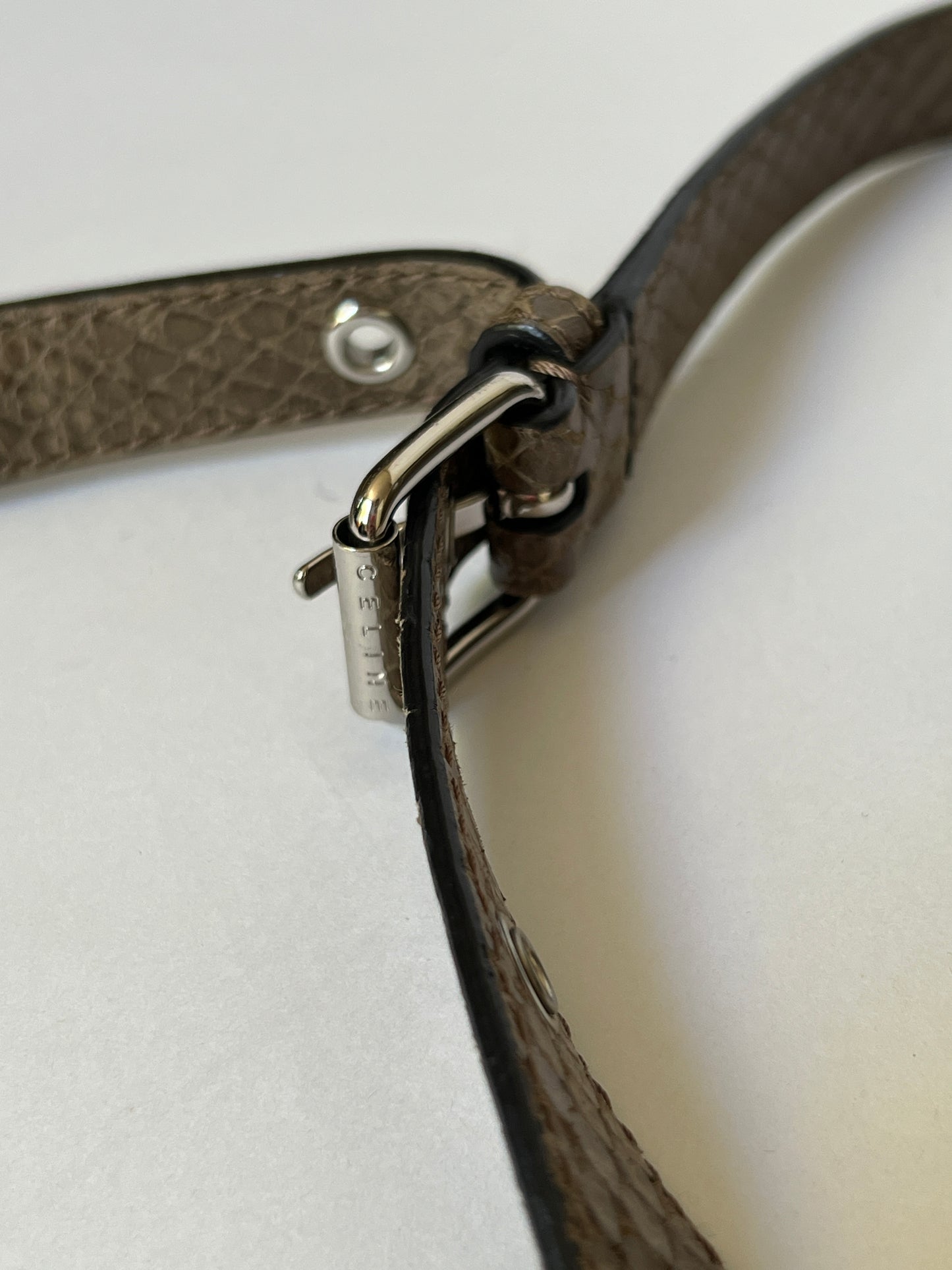 Celine Python-Embossed High Gloss Hobo Bag